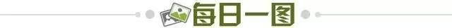 31aea6f5-dd4c-4187-a09c-08b0bda7fa5c.jpg@!img01